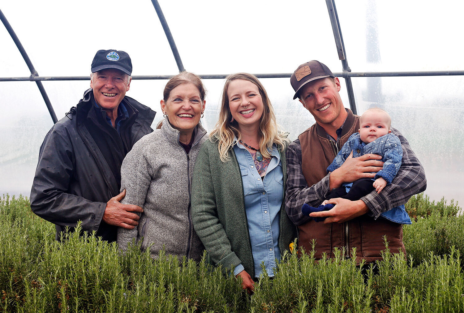 Purple Sage family
